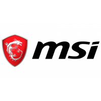 MSI