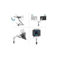 DIGITUS DA-90351 - Monitor Tischhalterung bis 27" flexible Gasfederhalterung,max 8kg, VESA 100x100