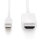 DIGITUS AK-340304-020-W - DisplayPort Adapterkabel, mini DP - HDMI Typ A St/St, 2.0m, DP 1.2_HDMI 2.0, 4K/60Hz, CE, we