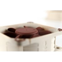 NOCTUA NF-A6X25-PWM - Lüfter 12VDC  60x60x25mm