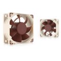 NOCTUA NF-A6X25-PWM - Lüfter 12VDC  60x60x25mm