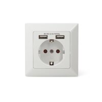 DIGITUS DA-70613 - Schutzkontakt Steckdose, 2x USB, USB Ges. Leistung 5V 2.1A, Eingang: AC 250V 50Hz, RAL 9003