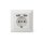 DIGITUS DA-70613 - Schutzkontakt Steckdose, 2x USB, USB Ges. Leistung 5V 2.1A, Eingang: AC 250V 50Hz, RAL 9003