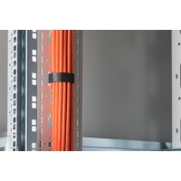DIGITUS DN-19-ORG-42U-CT-N - 42HE vert. Kabeltrasse f. Netzwerk- u. Serverschr. 1650x130x25 mm, Farbe Grau (RAL 7035)