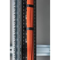 DIGITUS DN-19-ORG-42U-CT-N-B - 42HE vert. Kabeltrasse f. Netzwerk- u. Serverschr. 1650x130x25 mm, Farbe Schwarz (RAL 9005)