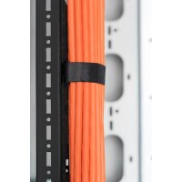 DIGITUS DN-19-ORG-42U-CT-N-B - 42HE vert. Kabeltrasse f. Netzwerk- u. Serverschr. 1650x130x25 mm, Farbe Schwarz (RAL 9005)