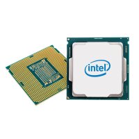 Intel Xeon 6244 8 Xeon Gold 3,6 GHz - Skt 3647 Cascade Lake