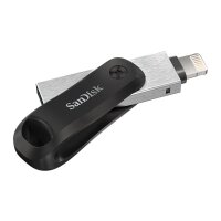 SanDisk SDIX60N-128G-GN6NE - 128 GB - 3.2 Gen 1 (3.1 Gen 1) - Drehring - Grau - Silber