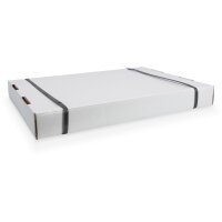 DIGITUS DN-19-09U-S-PD - 9HE Wandgehäuse, SOHO, unmontiert 460x540x400 mm, perforierte Fronttür, grau