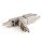 DIGITUS DN-93912 - CAT 6A CAT Verbinder, 500 MHz für AWG 22-26, geschirmt mit Metallschraubkappe