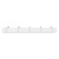 DIGITUS DN-97666 - 1HE Kabelrangierpanel 5x Stahlringe 40x75 mm, grau (RAL 7035)