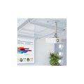 Techly Deckenhalterung für Beamer, ausziehbar, 38-58cm, Silber