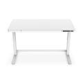DIGITUS DA-90406 - Elektrisch höhenverstellbarer Tisch120x60x12cm top 50kg Last, USB-Ladeanschlüsse, weiß