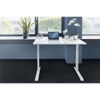 DIGITUS DA-90407 - Elektrisch höhenverstellbarer Tisch120x60x18cm top 50kg Last, weiß