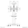 Neomounts NM-M1700BLACK TV-Trolley 32-75" - 50 kg - 81,3 cm (32") - 190,5 cm (75") - 200 x 200 mm - 600 x 400 mm - 1042 - 1542 mm