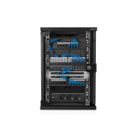 DIGITUS DN-10-09U-B - 254 mm (10") 9HE Wandgehäuse 464x312x300 mm, Farbe Schwarz (RAL 9005)