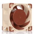 Noctua NF-A4X20 5V PWM - Ventilator - 4 cm - 1100 RPM - 5000 RPM - 14,9 dB - 9,4 m³/h