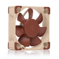 Noctua NF-A4x10 FLX - Ventilator - 4 cm - 3700 RPM - 4500 RPM - 8,2 m³/h