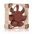 Noctua NF-A4x10 FLX - Ventilator - 4 cm - 3700 RPM - 4500 RPM - 8,2 m³/h