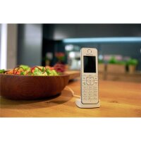 FRITZ! Fon C6 - DECT-Telefon - Kabelloses Mobilteil - Freisprecheinrichtung - 300 Eintragungen - Anrufer-Identifikation - Weiß