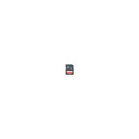 SanDisk Ultra - 128 GB - SDXC - UHS-I - 100 MB/s - Schwarz