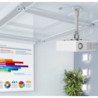 Techly Deckenhalterung für Beamer, ausziehbar, 54-90cm, Silber