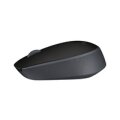Logitech M171 - Beidhändig - Optisch - RF Wireless - 1000 DPI - Grau