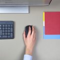 Logitech M171 - Beidhändig - Optisch - RF Wireless - 1000 DPI - Grau