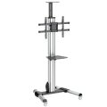 StarTech.com TV-Wagen - für 32" bis 75" TVs - Höhenverstellbar - 40 kg - 81,3 cm (32") - 190,5 cm (75") - 200 x 200 mm - 600 x 400 mm - 1110 - 1510 mm