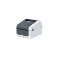Brother TD-4210D - Thermodirekt - 203 x 203 DPI - 203 mm/sek - Kabelgebunden - Grau - Weiß