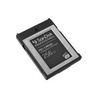 SanDisk PROFESSIONAL PRO-CINEMA