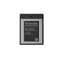SANDISK PROFESSIONAL SanDisk PRO-CINEMA - 256 GB -...
