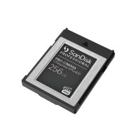 SANDISK PROFESSIONAL SanDisk PRO-CINEMA - 256 GB -...