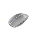 Cherry GENTIX BT - Beidhändig - Optisch - Bluetooth - 2000 DPI - Grau