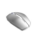 Cherry GENTIX BT - Beidhändig - Optisch - Bluetooth - 2000 DPI - Grau
