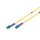 DIGITUS DK-2933-02 - LWL Patchkabel, Duplex, LC zu LC SM OS2 09/125 µ, 2 m