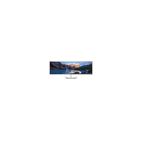 Dell UltraSharp 49 Curved Monitor - U4924Dw 49 - Flachbildschirm (TFT/LCD) - 124,5 cm