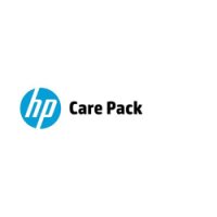 HP Electronic HP Care Pack Software Technical Support