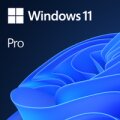 Microsoft Windows 11 Pro OEM - Erstausrüster (OEM) - Deutsch - 1 Lizenz(en) - 64 GB - 4 GB - 1 GHz