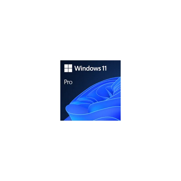 Microsoft Windows 11 Pro - Elektronischer Software-Download (ESD) - Mehrsprachig - 1 Lizenz(en)