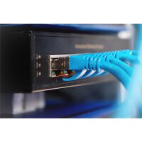 DIGITUS 8 Port Gigabit Ethernet Netzwerk Switch,Industrial, Unmanaged