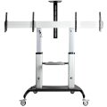 StarTech.com Doppel TV Ständer mit rollen für 37-60 Zoll VESA Bildschirme jeweils bis 50kg - Höhenverstellbarer/Schwenkbarer TV Rollwagen - Präsentationswagen für zwei TVs mit Ablage - 94 cm (37") - 152,4 cm (60") - 200 x 200 mm - 600 x 400 mm - -10 - 5°