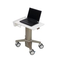 Ergotron C50-1100-0 - Laptop-Ständer - Grau - 39,6 cm (15.6") - 5,4 kg - 614 - 1247 mm - 62,5 cm