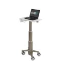 Ergotron C50-1100-0 - Laptop-Ständer - Grau - 39,6 cm (15.6") - 5,4 kg - 614 - 1247 mm - 62,5 cm