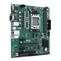 ASUS PRO A620M-C-CSM - AMD - Sockel AM5 - AMD Ryzen 7000 Series - Sockel AM5 - DDR5-SDRAM - 96 GB