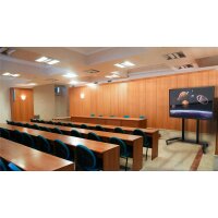 Peerless SR598 - Multimedia-Wagen - Schwarz - Flachbildschirm - 136,1 kg - 139,7 cm (55") - 2,49 m (98")