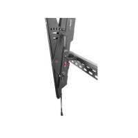 Peerless ST680P - 152,4 cm (60") - 2,49 m (98") - 159 kg - -5 - 15° - Schwarz