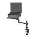 Neomounts DS20-425BL1 Tischhalterung für Laptops 11.6-17.3" - platzsparend - Laptop-Arm - Schwarz - Stahl - 29,5 cm (11.6") - 43,9 cm (17.3") - 5 kg