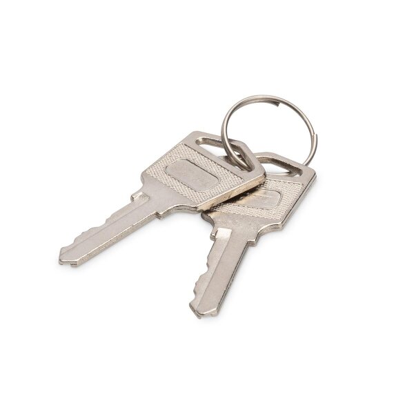 DIGITUS - DN-45000-KEY - Schlüssel f. DN-4500x Schränke