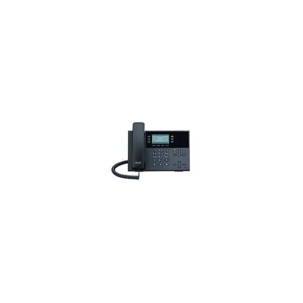 Auerswald COMfortel D-210 - IP-Telefon - Schwarz - Kabelloses Mobilteil - Kunststoff - 3 Zeilen - 2000 Eintragungen